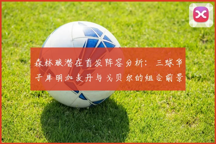 森林狼潜在首发阵容分析：三球华子库明加麦丹与戈贝尔的组合前景如何