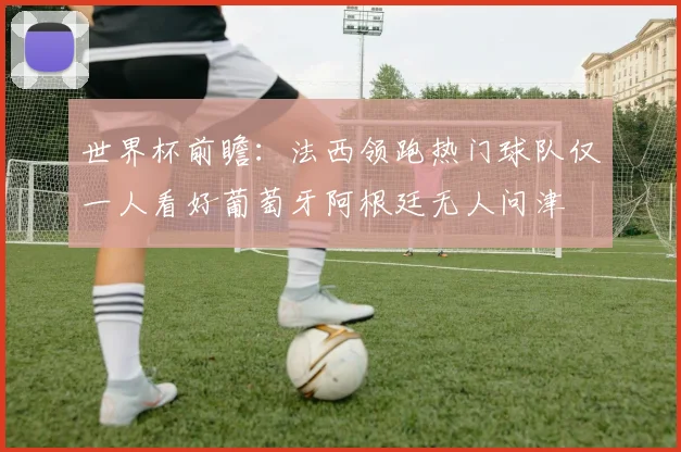 世界杯前瞻：法西领跑热门球队仅一人看好葡萄牙阿根廷无人问津
