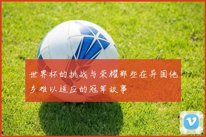 世界杯的挑战与荣耀那些在异国他乡难以适应的冠军故事